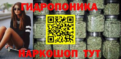 амф Бийск