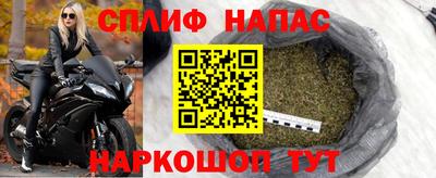 амф Бийск