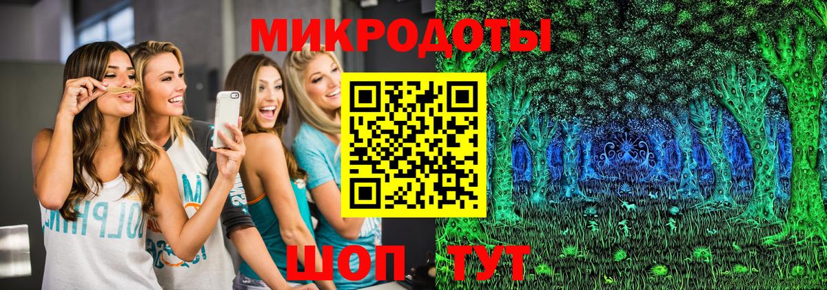 Псилоцибиновые грибы Psilocybine cubensis Балаково